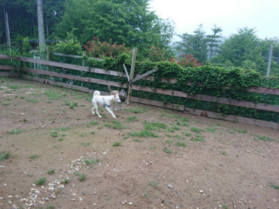 f:id:roukenhome-ann:20190703075746j:plain