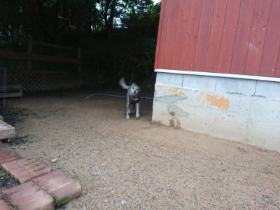 f:id:roukenhome-ann:20190703075819j:plain