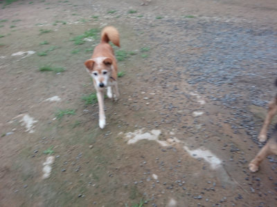 f:id:roukenhome-ann:20190703075839j:plain