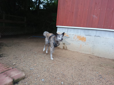 f:id:roukenhome-ann:20190703075844j:plain