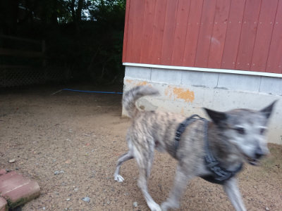 f:id:roukenhome-ann:20190703075848j:plain