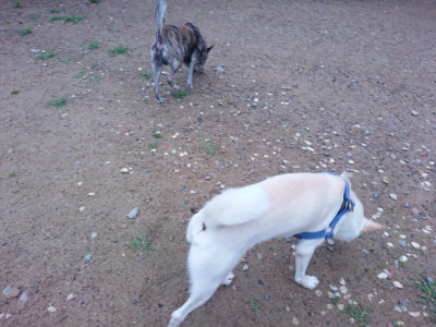 f:id:roukenhome-ann:20190703075857j:plain