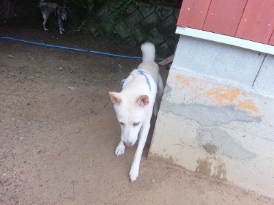 f:id:roukenhome-ann:20190703075917j:plain