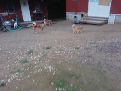 f:id:roukenhome-ann:20190703075949j:plain