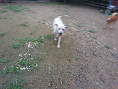 f:id:roukenhome-ann:20190703080003j:plain