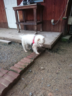 f:id:roukenhome-ann:20190703080211j:plain
