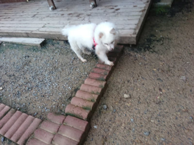 f:id:roukenhome-ann:20190703080230j:plain
