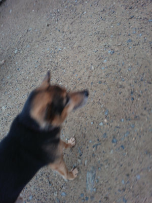 f:id:roukenhome-ann:20190703082711j:plain