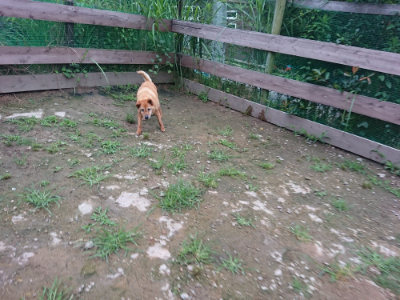 f:id:roukenhome-ann:20190703082717j:plain