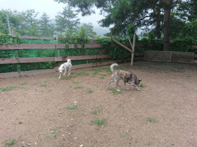 f:id:roukenhome-ann:20190703082819j:plain