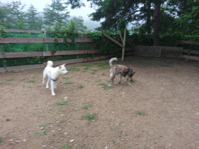 f:id:roukenhome-ann:20190703082823j:plain