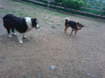 f:id:roukenhome-ann:20190703082925j:plain