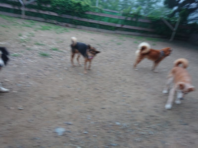 f:id:roukenhome-ann:20190703082933j:plain