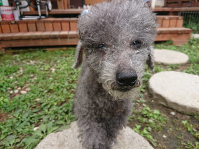 f:id:roukenhome-ann:20190703122310j:plain