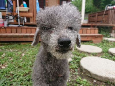f:id:roukenhome-ann:20190703122315j:plain