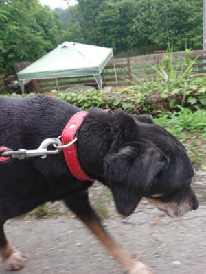 f:id:roukenhome-ann:20190703122400j:plain