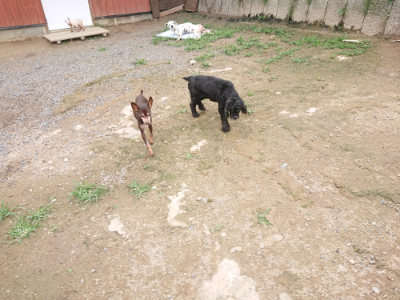 f:id:roukenhome-ann:20190703134808j:plain