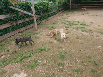 f:id:roukenhome-ann:20190703134814j:plain