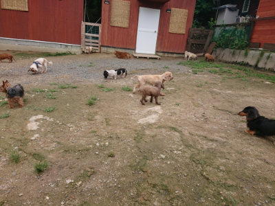 f:id:roukenhome-ann:20190703134837j:plain