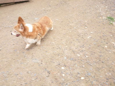 f:id:roukenhome-ann:20190703134931j:plain