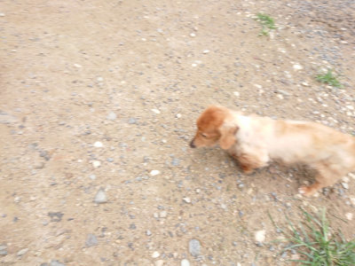 f:id:roukenhome-ann:20190703134950j:plain