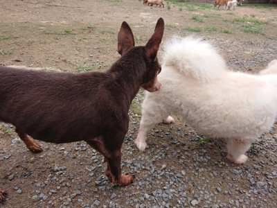 f:id:roukenhome-ann:20190703135013j:plain