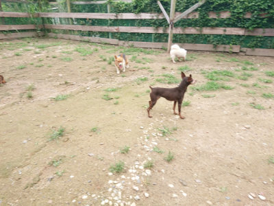 f:id:roukenhome-ann:20190703135024j:plain