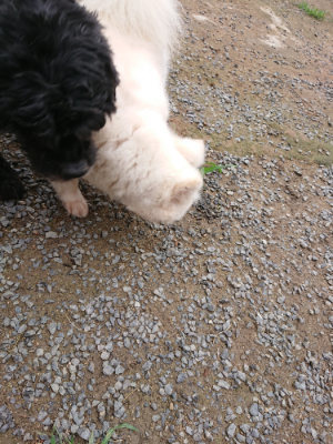 f:id:roukenhome-ann:20190703135045j:plain