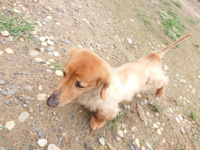 f:id:roukenhome-ann:20190703135050j:plain