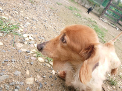 f:id:roukenhome-ann:20190703135055j:plain