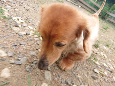 f:id:roukenhome-ann:20190703135121j:plain