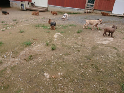 f:id:roukenhome-ann:20190703135125j:plain