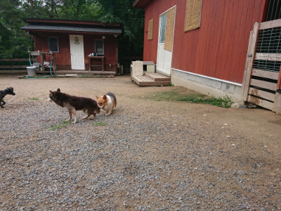 f:id:roukenhome-ann:20190703135131j:plain