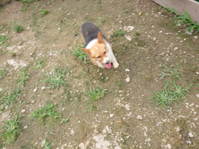 f:id:roukenhome-ann:20190703135209j:plain