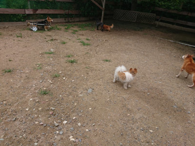 f:id:roukenhome-ann:20190703140520j:plain