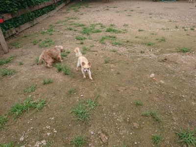 f:id:roukenhome-ann:20190703140535j:plain