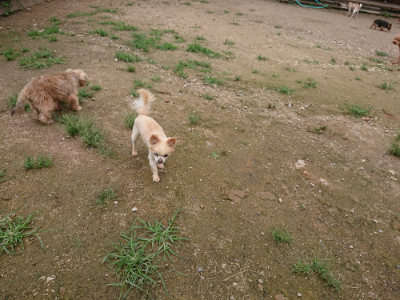 f:id:roukenhome-ann:20190703140541j:plain