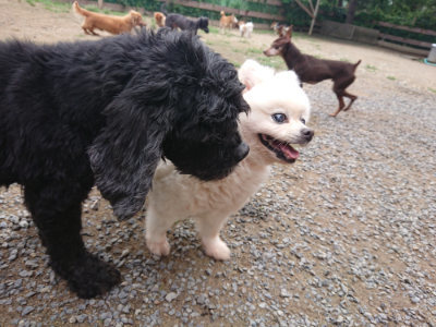 f:id:roukenhome-ann:20190703140553j:plain