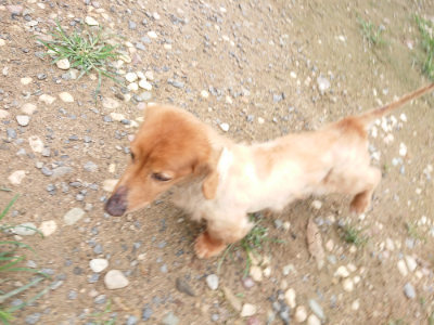 f:id:roukenhome-ann:20190703140605j:plain