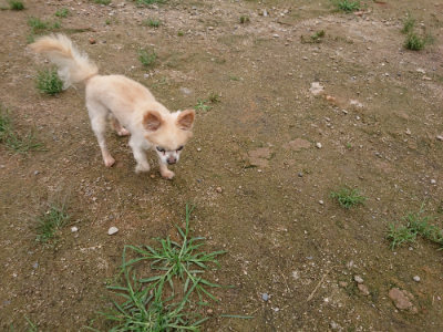 f:id:roukenhome-ann:20190703140611j:plain