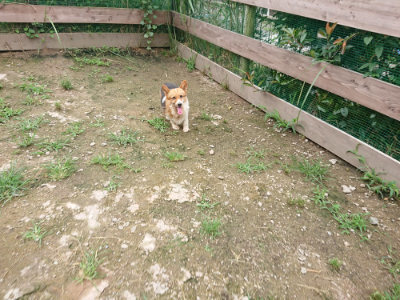 f:id:roukenhome-ann:20190703140616j:plain