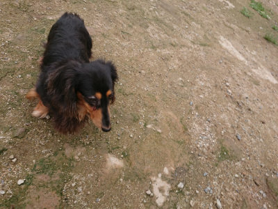 f:id:roukenhome-ann:20190703140631j:plain