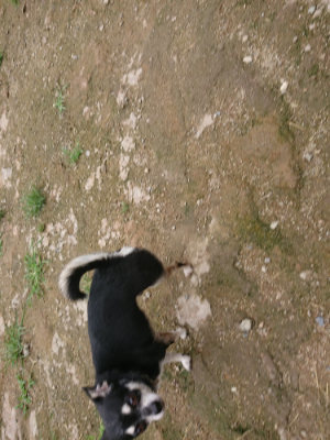 f:id:roukenhome-ann:20190703140658j:plain