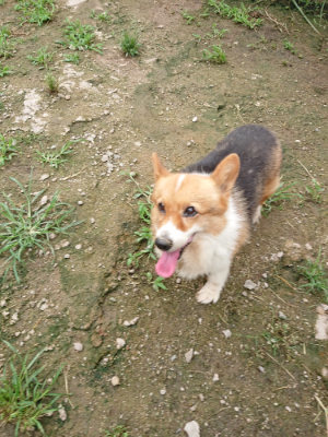 f:id:roukenhome-ann:20190703140720j:plain
