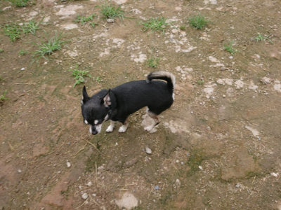 f:id:roukenhome-ann:20190703140731j:plain