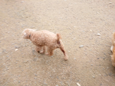 f:id:roukenhome-ann:20190703140803j:plain