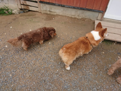 f:id:roukenhome-ann:20190703140821j:plain