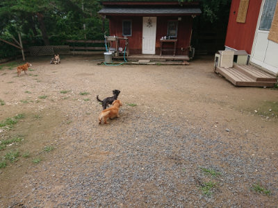 f:id:roukenhome-ann:20190703140916j:plain