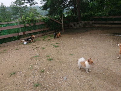 f:id:roukenhome-ann:20190703140932j:plain