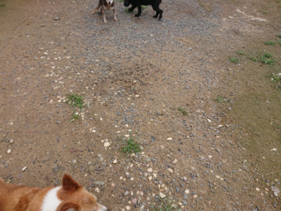 f:id:roukenhome-ann:20190703140938j:plain